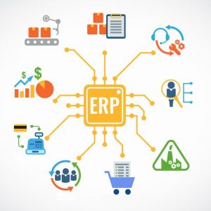 ERP ecosystem